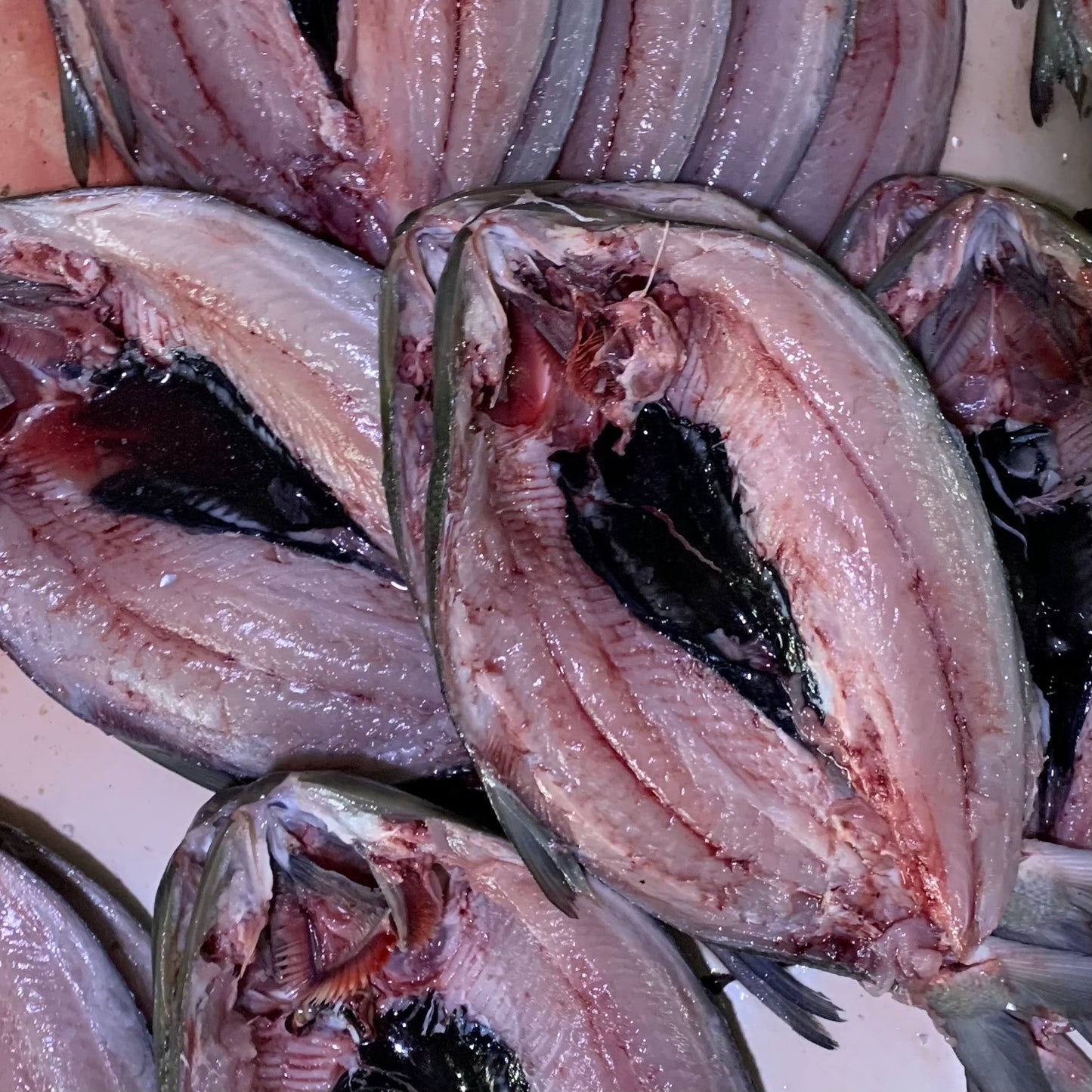 Milkfish (Bangus) - 1kg (2pcs)