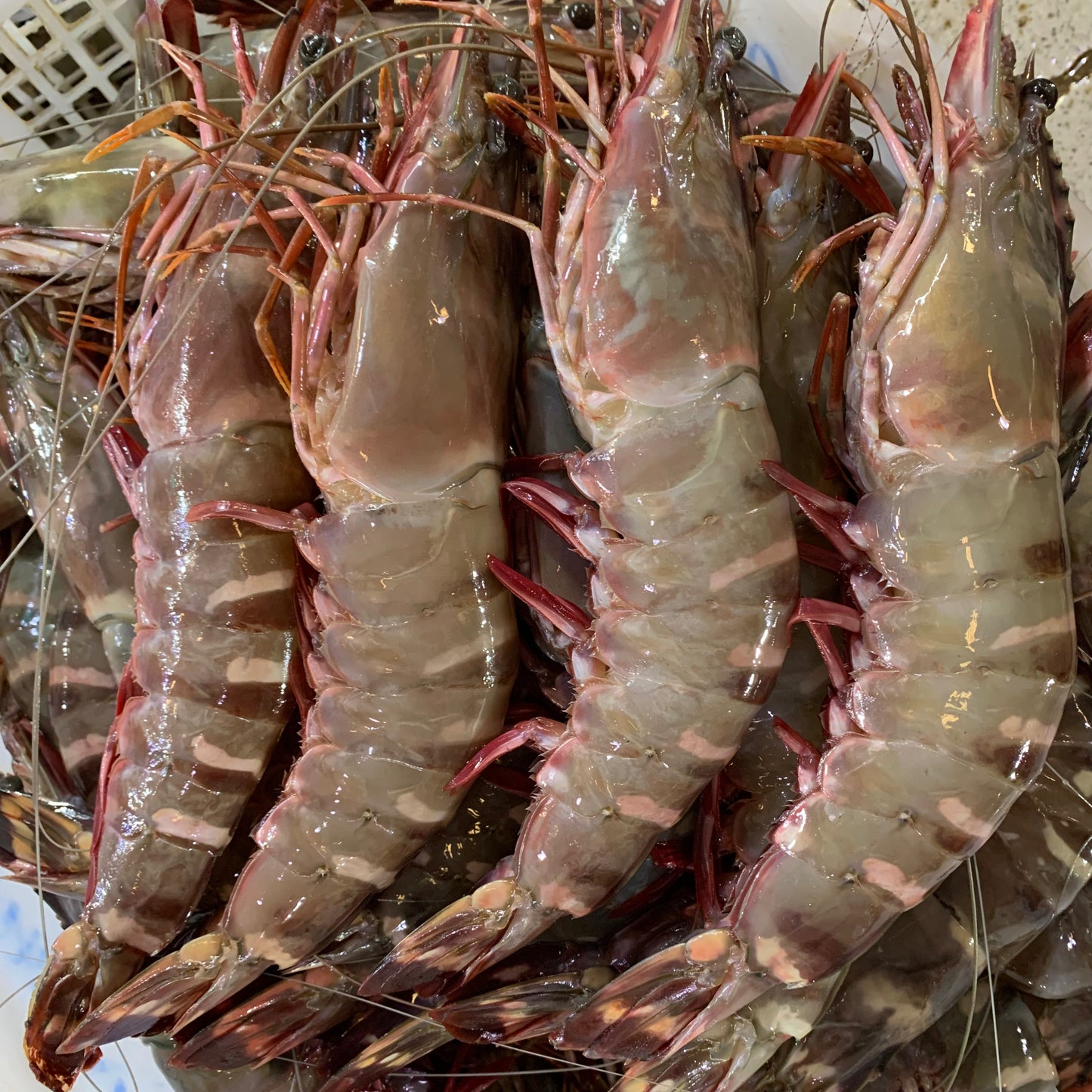 Prawns (Sugpo) - 1 kg