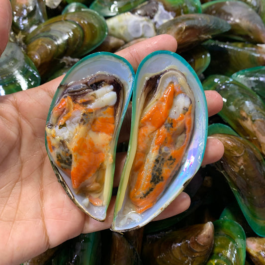 Mussels (Tahong) - 1 kg